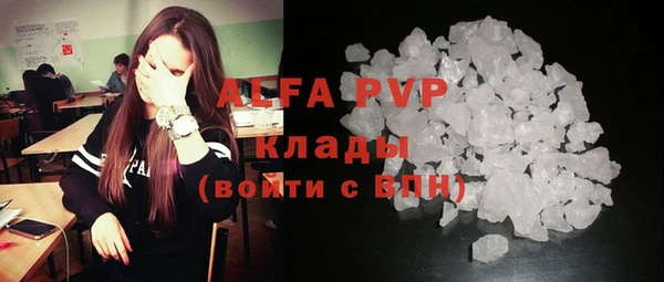 прущий лед Вяземский
