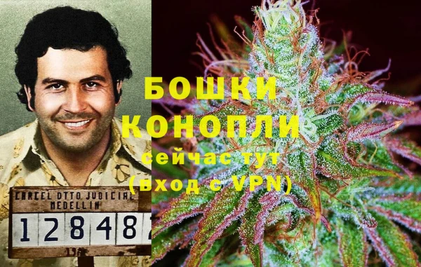 ALPHA PVP Вязьма